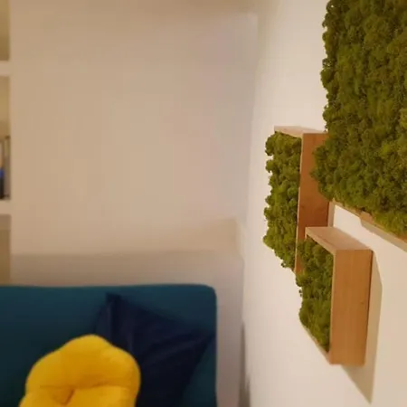 Monibu House *